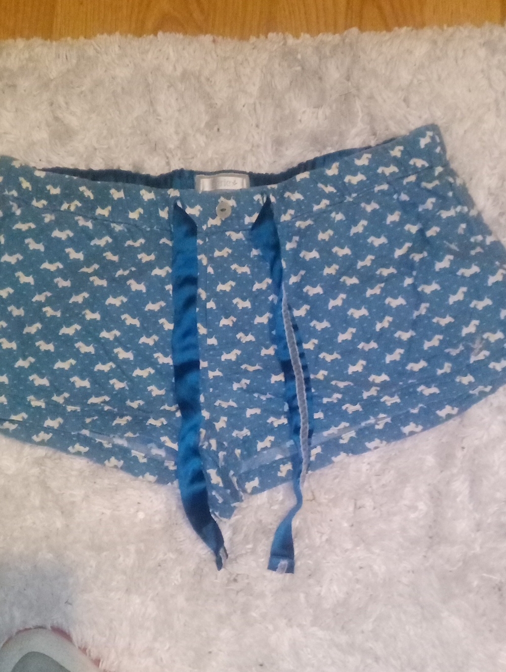 aerie Blue Dog-Print Athletic Lounge Shorts (PJ Shorts)